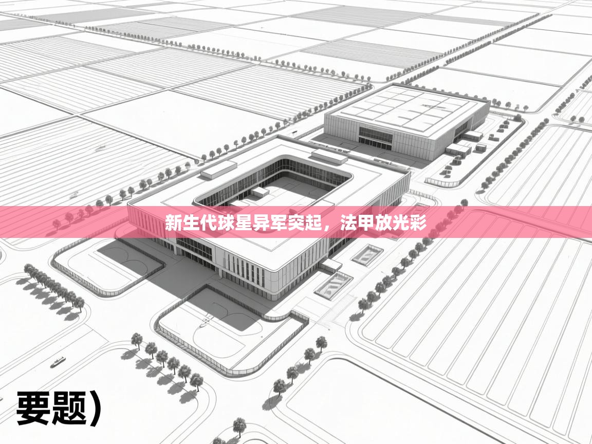 新生代球星异军突起，法甲放光彩  第2张